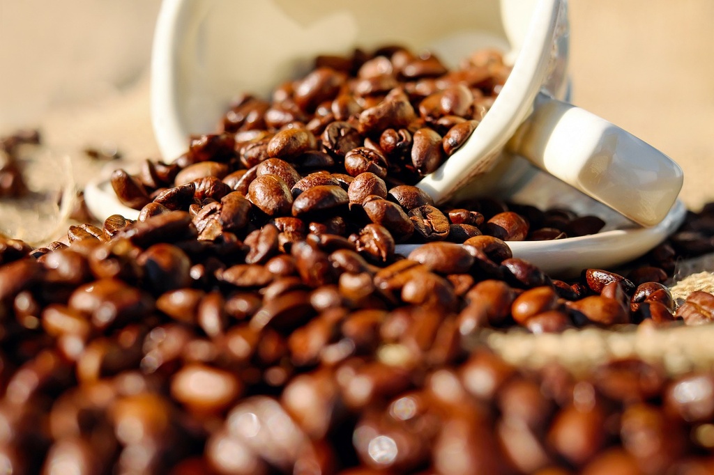 Exkursion Kaffee